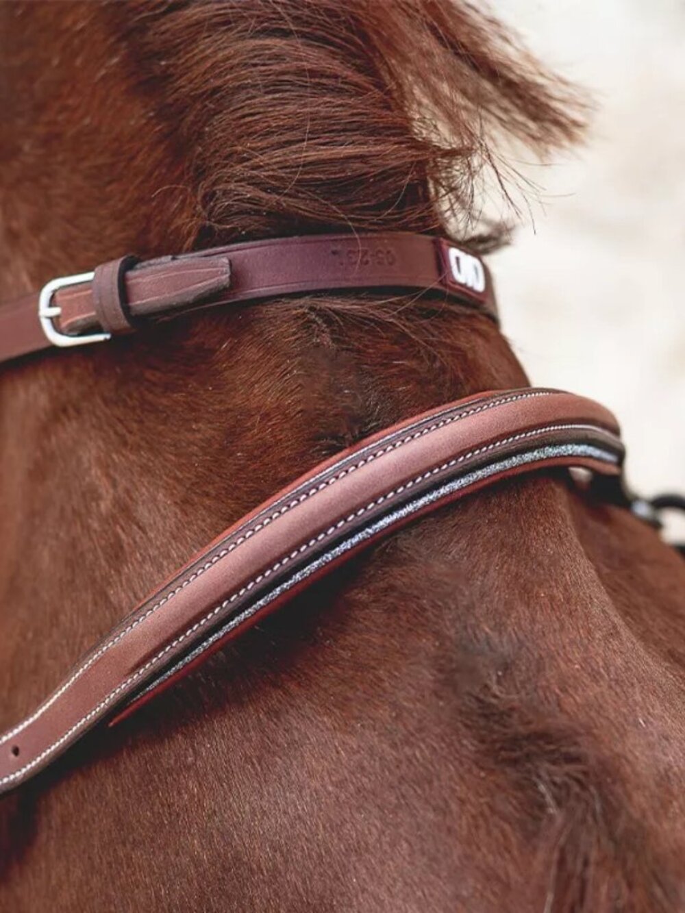 CWD Sport Color raised adjustable bridge breastplate - Picture 3 of 8